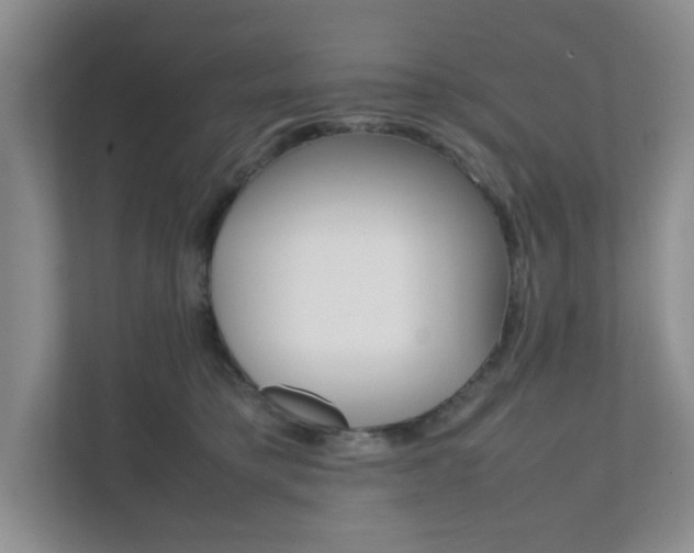 X0000111810421200907231020