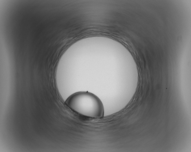 X0000111810423200907231020