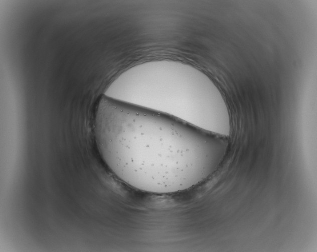 X0000111810424200907231020