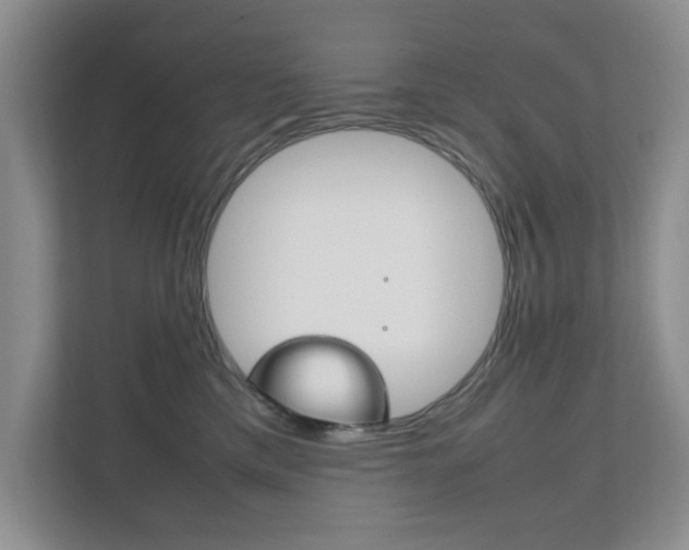 X0000111810425200907231020