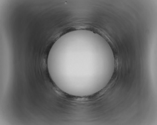 X0000111810426200907231020