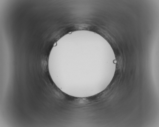 X0000111810427200907231020
