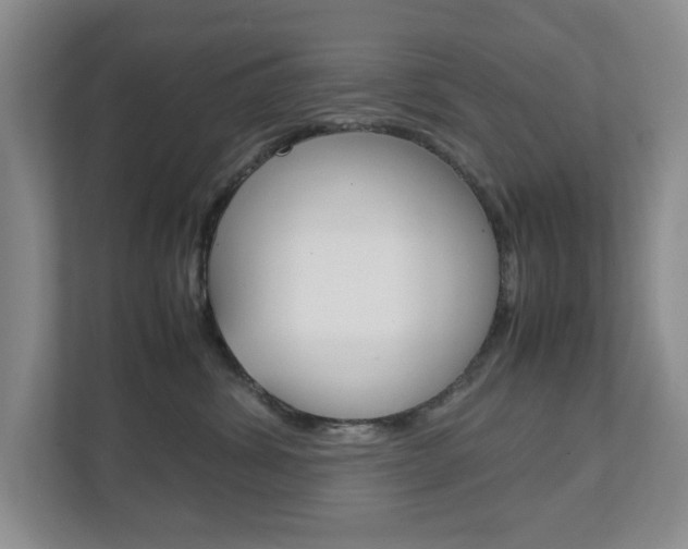 X0000111810428200907231019
