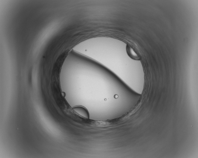 X0000111810429200907231019