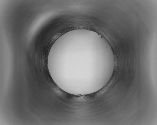 X0000111810430200907231019