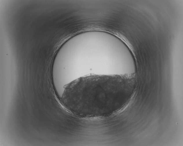X0000111810433200907231019