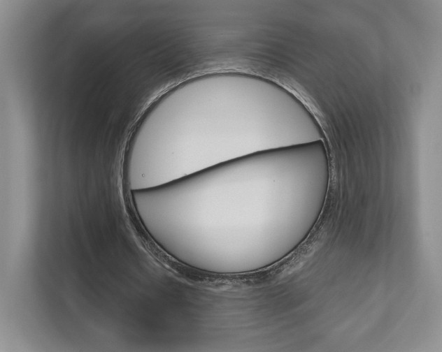 X0000111810434200907231019
