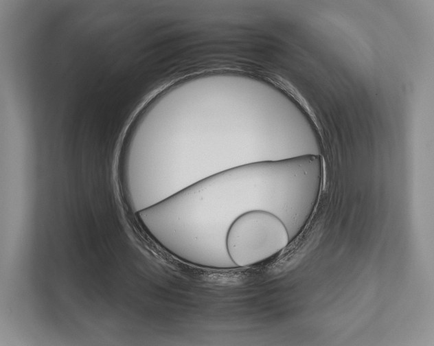 X0000111810435200907231019