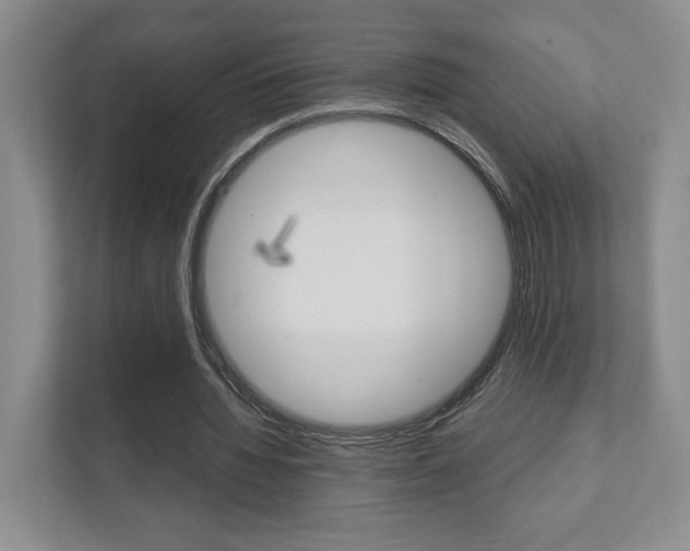X0000111810436200907231019