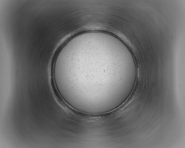 X0000111810438200907231019