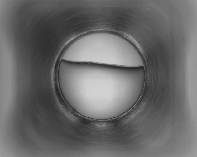 X0000111810439200907231019