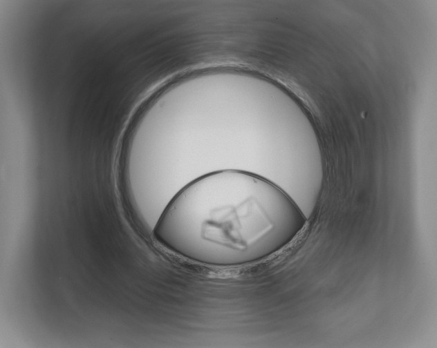 X0000111810440200907231019