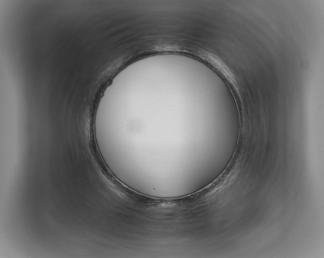 X0000111810441200907231019
