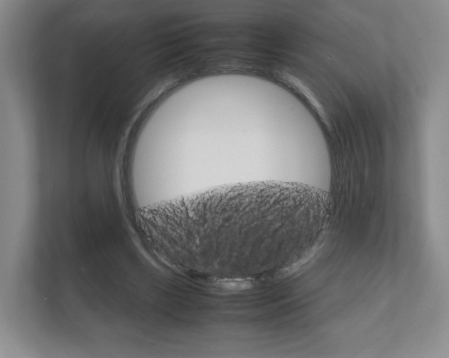 X0000111810443200907231019