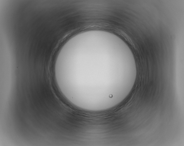 X0000111810444200907231019