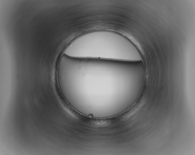 X0000111810445200907231019
