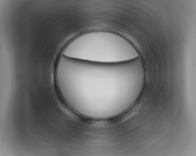 X0000111810446200907231019