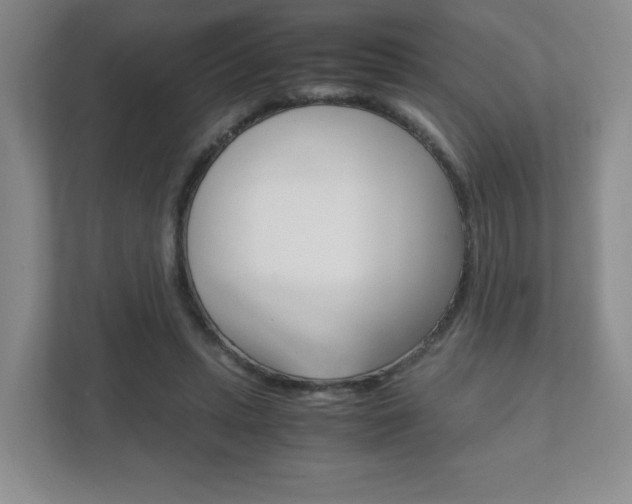 X0000111810447200907231019