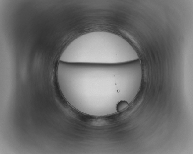 X0000111810451200907231019