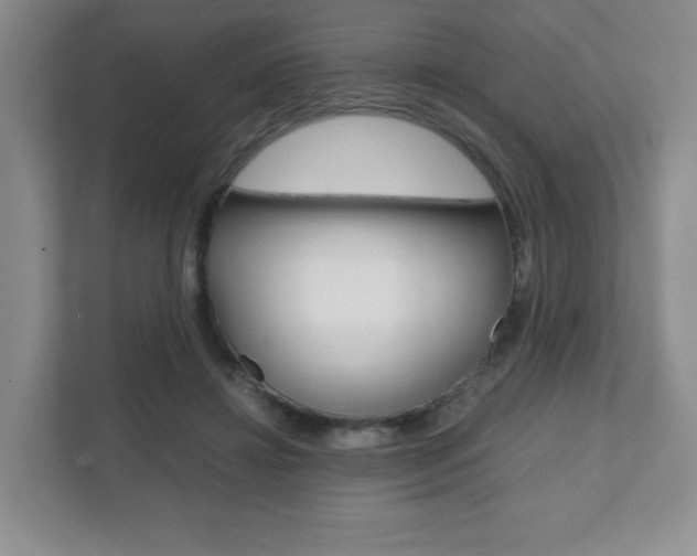X0000111810452200907231019