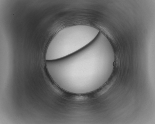 X0000111810453200907231019