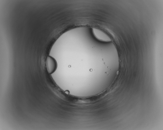 X0000111810455200907231019