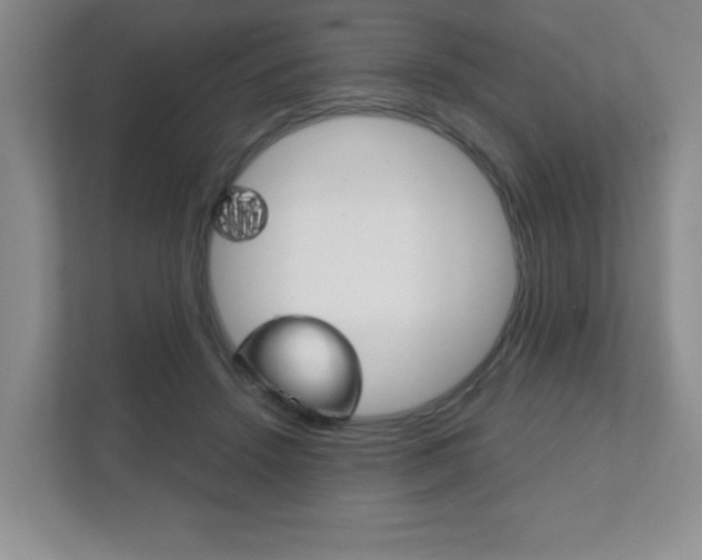 X0000111810456200907231019
