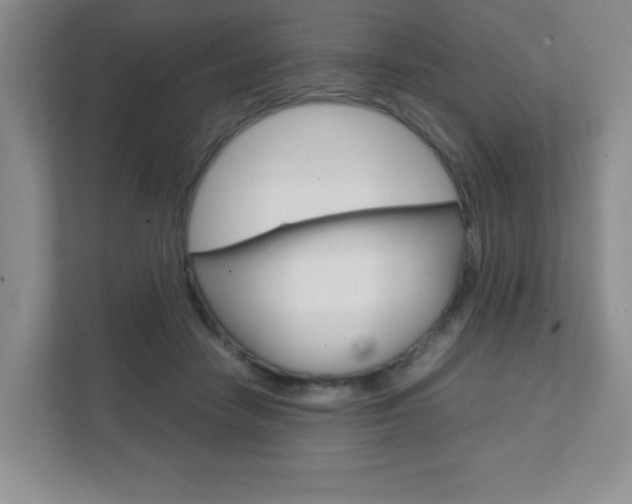 X0000111810458200907231019