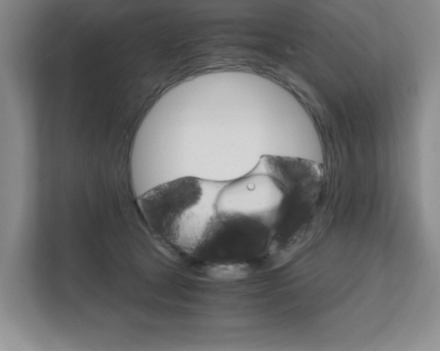 X0000111810465200907231019