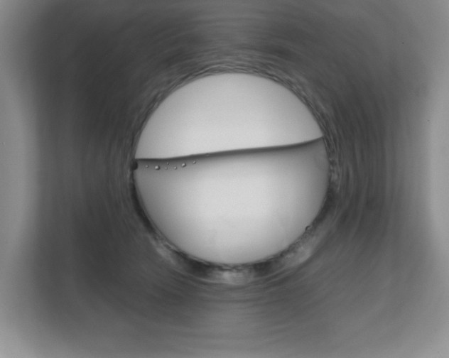 X0000111810466200907231019