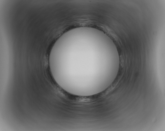 X0000111810471200907231019