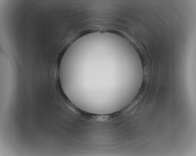 X0000111810474200907231019