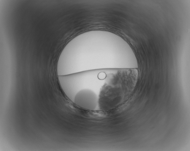 X0000111810475200907231019