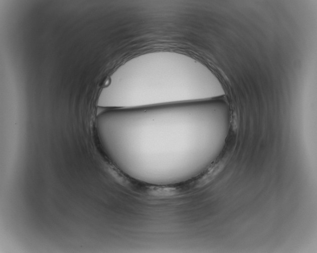 X0000111810476200907231019
