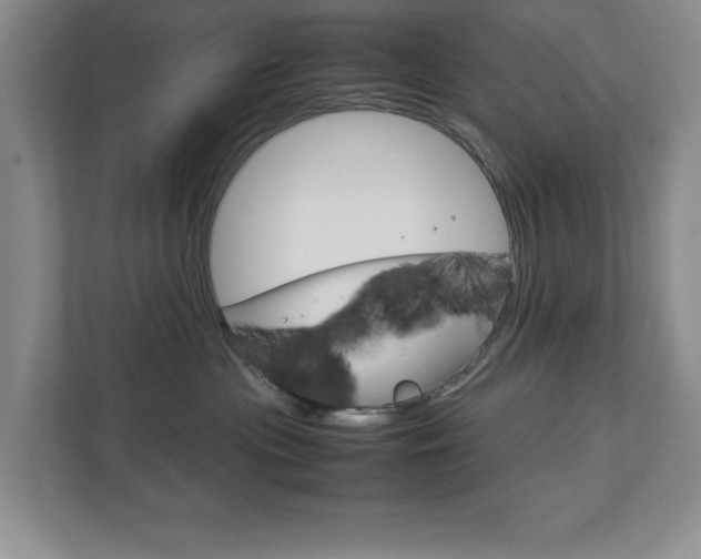 X0000111810477200907231019