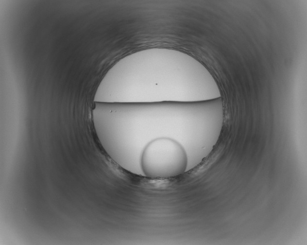 X0000111810478200907231019