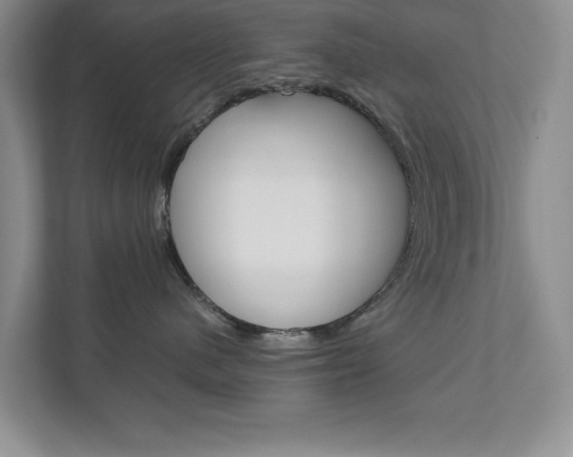 X0000111810480200907231019