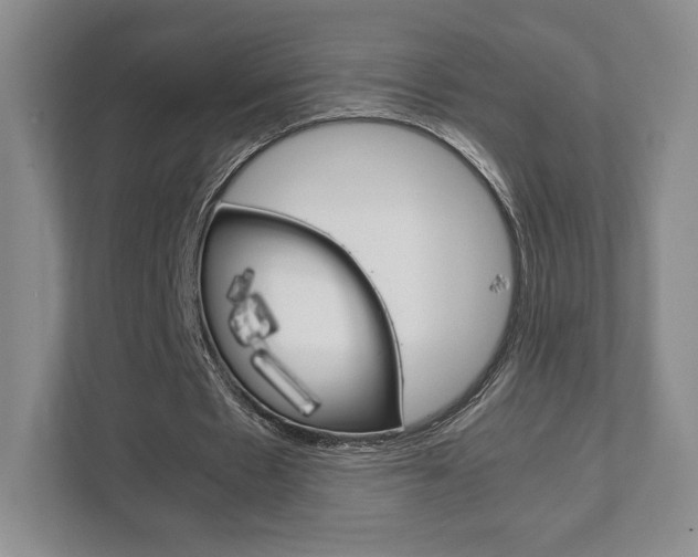 X0000111810481200907231019
