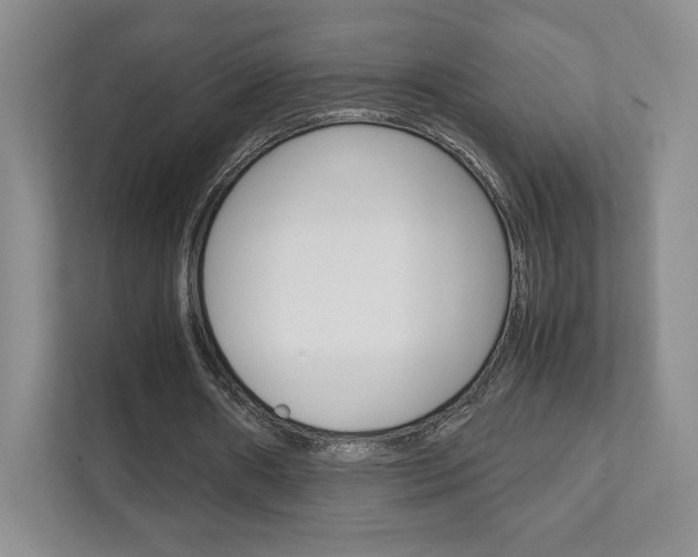 X0000111810482200907231019