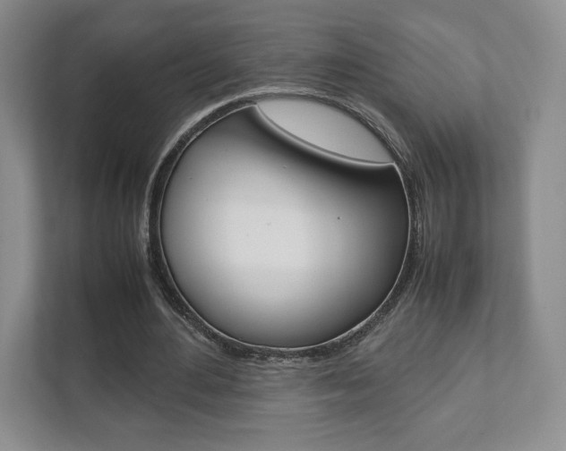 X0000111810484200907231019
