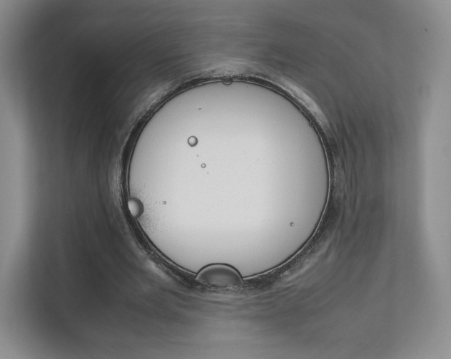 X0000111810485200907231019