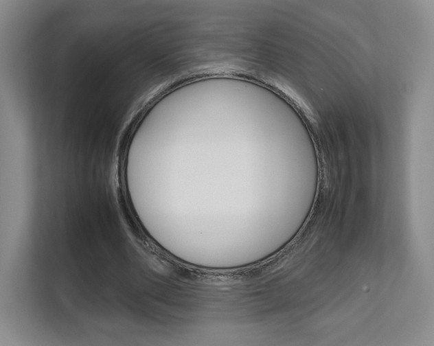 X0000111810486200907231019