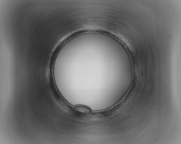 X0000111810488200907231019