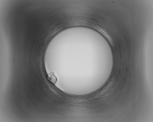 X0000111810489200907231019