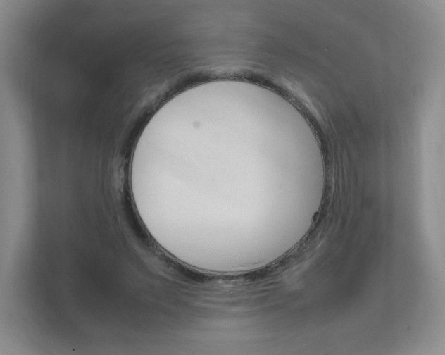 X0000111810495200907231019