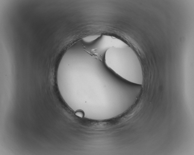 X0000111810497200907231019