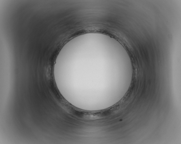 X0000111810498200907231019
