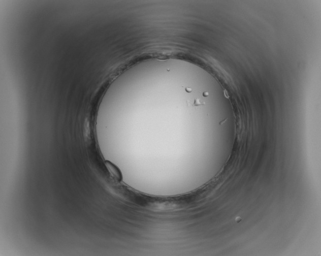 X0000111810500200907231019