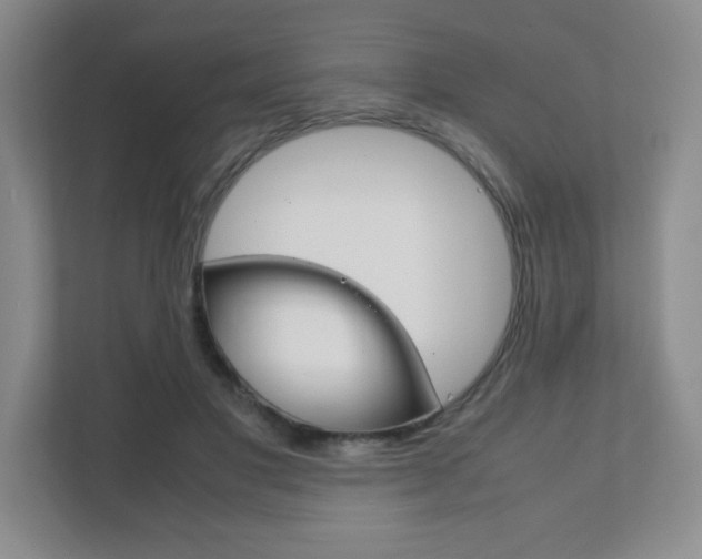 X0000111810501200907231019