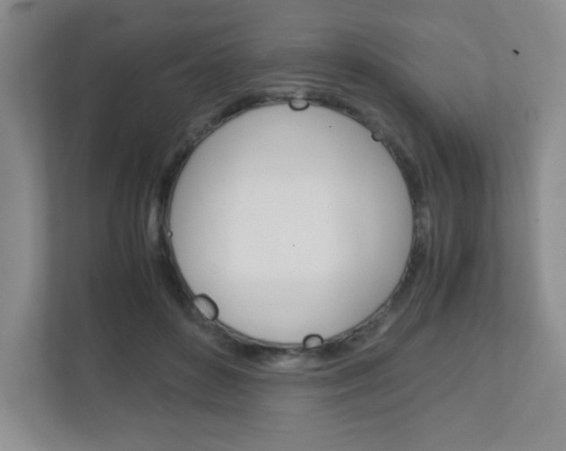 X0000111810504200907231019
